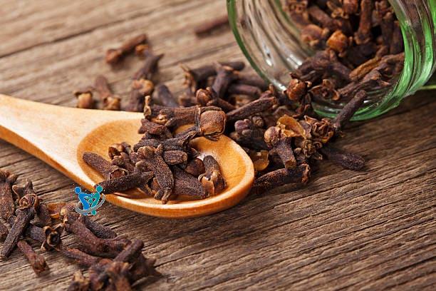 ما فوائد القرنفل للصدر 4 فوائد القرنفل للصدر